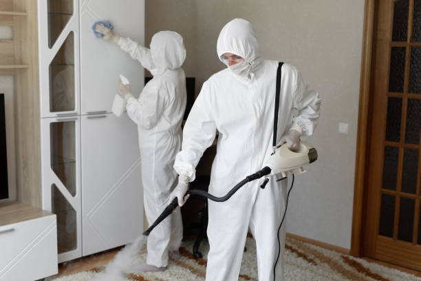 24/7 Emergency Odor Removal experts in Upland, PA